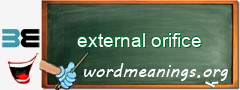 WordMeaning blackboard for external orifice